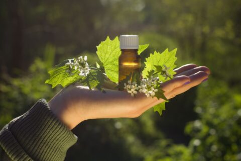 If traditional medicine just doesn’t seem to be for you anymore, naturopathic medicine might be the way to go.